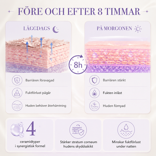 Night Cream – Skin Renewing